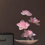 Trần thị ánh hồng